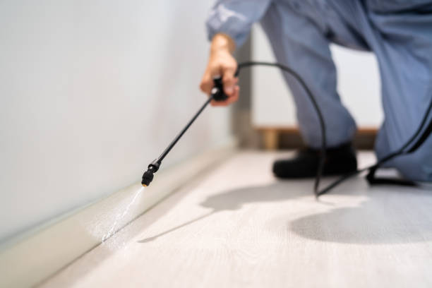 Licensed Mosquito Control service in Geneva, WA - Show Me Pest Control
