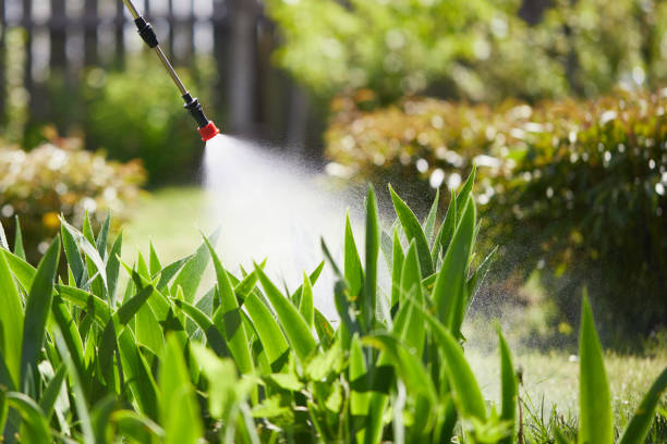 24/7 Emergency Mosquito Control experts in Geneva, WA